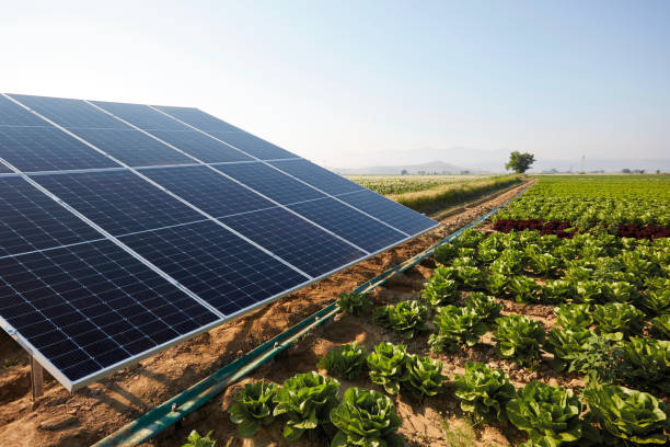 Agriculture solaire